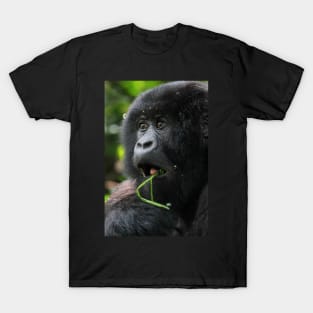 Surprised at Lunch!! Juvenile Mountain Gorilla. T-Shirt